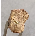 OPAL OGNISTY W SKALE
